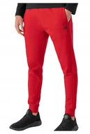 Spodnie męskie - 4F Spodnie Męskie Joggery Spmd351 Czerwone L - miniaturka - grafika 1