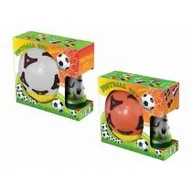 Piłki dla dzieci - Zestaw sportowy piłka nożna z pachołkami Artyk - miniaturka - grafika 1