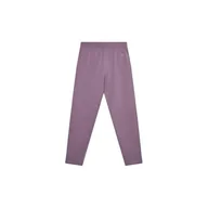 Legginsy - Dziecięce legginsy 4F dziewczęce dzianinowe sportowe TTIGF178-51S - miniaturka - grafika 1