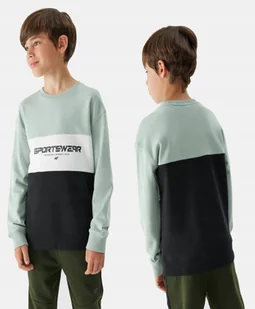 4F BLUZA CHŁOPIĘCA DRESOWA SPORTOWA NIEROZPINANA - Bluzy dla chłopców - miniaturka - grafika 1