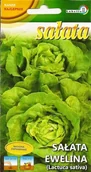 Nasiona i cebule - Sałata masłowa Ewelina 1g / L / - miniaturka - grafika 1