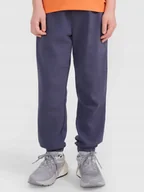 Spodnie męskie - SPODNIE DRESOWE CHŁOPIĘCE 4F JOGGERY 146 TTROM0965 SS25 - miniaturka - grafika 1