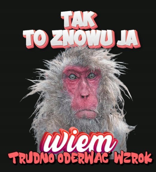 ŚMIESZNA CZARNA KOSZULKA MĘSKA Z NAPISEM TO ZNOWU JA MAŁPA ROZM. S