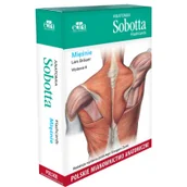 Książki medyczne - Edra Urban & Partner Anatomia Sobotta Flashcards. Mięśnie. Polskie mianownictwo anatomiczne - L. Bräuer - miniaturka - grafika 1