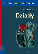 Lektury szkoła podstawowa - Skrzat Dziady. Lektura dobrze opracowana Adam Mickiewicz - miniaturka - grafika 1