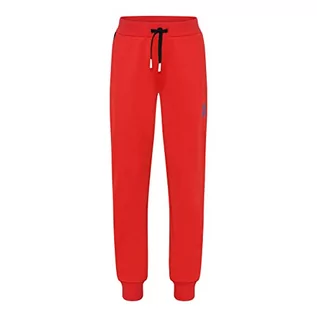 Spodnie męskie - Lego Wear Sweatpants Eleganckie spodnie męskie Unisex-Dorosły, 34 EU, 98 - grafika 1