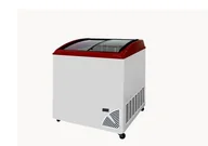 Szafy i witryny chłodnicze - Zamrażarka sklepowa przeszklona BYFAL ARO-205/2 - miniaturka - grafika 1