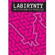 Rozwój osobisty - Labirynty antystresowe dla dorosłych i nie tylko - miniaturka - grafika 1