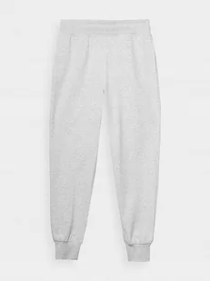 SPODNIE DAMSKIE DRESOWE 4F XL JOGGERY TTROF0946 AW24 - Dresy damskie - miniaturka - grafika 1