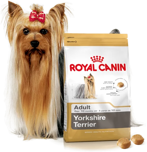 Royal Canin ROYAL CANIN Yorkshire Terrier Adult 7,5kg karma sucha dla psów dorosłych rasy yorkshire terrier - 4+1 PROMOCYJNE OPAKOWANIE