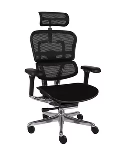 Fotel biurowy, krzesło biurowe Fotel biurowy Ergohuman 2 Elite Pro BT Black tapicerowany - Fotele i krzesła biurowe - miniaturka - grafika 1