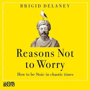 Reasons not to Worry - Audiobooki obcojęzyczne - miniaturka - grafika 1