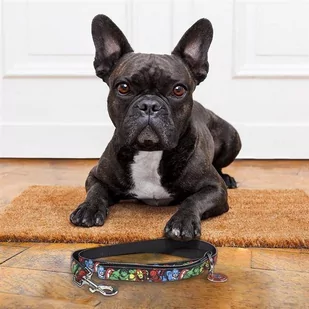 Disney For fun pets Smycz dla psa Marvel S 120 cm 15 mm - Smycze dla psów - miniaturka - grafika 1