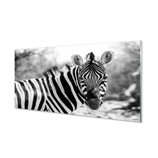 Ochronny panel do kuchni + klejRetro zebra 120x60 - Tablice i flipcharty - miniaturka - grafika 1