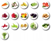 Magnesy - Magnesy na lodówkę Magnes Warzywa TEKTURA16 szt - miniaturka - grafika 1