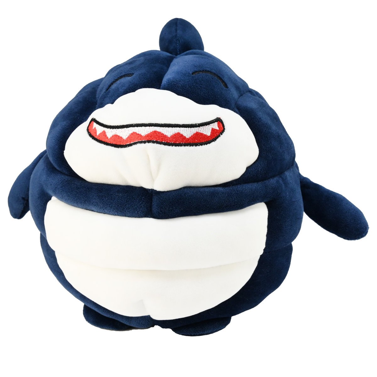 Chinchilla, rekinek obły, 22 cm