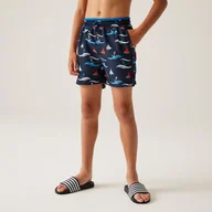 Kąpielówki dla chłopców - Skander III dziecięce szorty kąpielowe - miniaturka - grafika 1