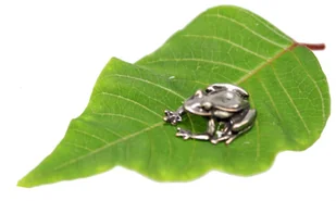 Żabka Mosiężna III Na Pomnażanie Pieniędzy Z Monetą SREBRNA - Gadżety dla niej i dla niego - miniaturka - grafika 5