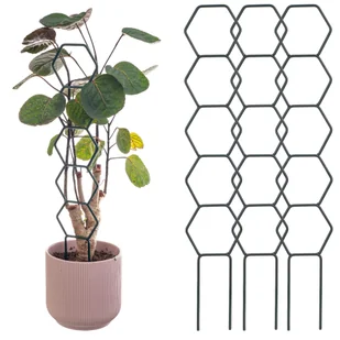 Podpora doniczkowa Fora heksagon prosty 3szt - Pozostałe akcesoria do uprawy roślin Podpora doniczkowa Fora heksagon prosty 3szt - Pozostałe akcesoria do uprawy roślin - miniaturka - grafika 1