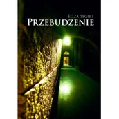 Poezja - Przebudzenie Nowa - miniaturka - grafika 1