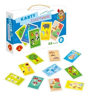 Alexander Karty Zgadywanki - Sówka mądra główka - Książki edukacyjne - miniaturka - grafika 2