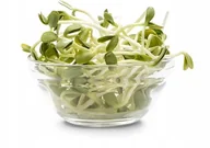 Nasiona i cebule - NASIONA NA kiełki SŁONECZNIK duże opakowanie NASIONA źródło witamin p. 139360; PL302/23/4617/L6/A; - miniaturka - grafika 1