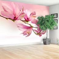 Fototapety - Fototapeta Magnolia - miniaturka - grafika 1