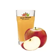 Soki i napoje niegazowane - Sok Jabłkowy Tłoczony Domowy Lekko Kwaśne Odmiany nie z koncentratu 5L - miniaturka - grafika 1