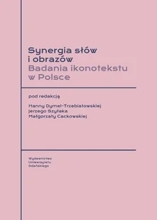 Synergia słów i obrazów. Badania ikonotekstu w Polsce - No author - ebook - Komiksy dla dorosłych - miniaturka - grafika 1