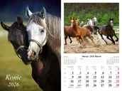Kalendarze - Kalendarz ścienny 2026 Konie - kalendarz - miniaturka - grafika 1