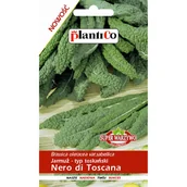 Nasiona i cebule - Jarmuż typ toskański - miniaturka - grafika 1