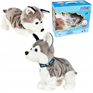 Zabawki interaktywne dla dzieci - Pies Interaktywny Piesek Husky Szczeka Kładzie się Siada Reaguje na Dotyk - miniaturka - grafika 1