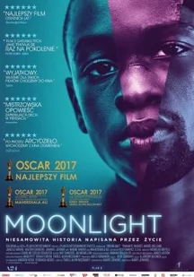 Moonlight - Filmy obyczajowe DVD - miniaturka - grafika 1