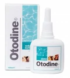 Geulincx Otodine 100ml + Dentastix 77g 47406-uniw - Suplementy i witaminy dla psów - miniaturka - grafika 1