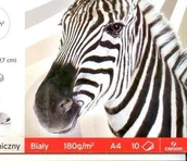 Szkolne artykuły papiernicze - Canson Bloki rysunkowe A3 BIAŁY 20 KARTEK - miniaturka - grafika 1