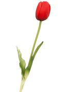 Sztuczne kwiaty - Tulipan silikonowy jak żywy czerwony gumowy 40 cm rozkwitnięty - miniaturka - grafika 1