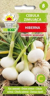 Toraf Cebula Zimująca Hiberna nasiona warzyw 2g 00077 - Nasiona i cebule - miniaturka - grafika 1