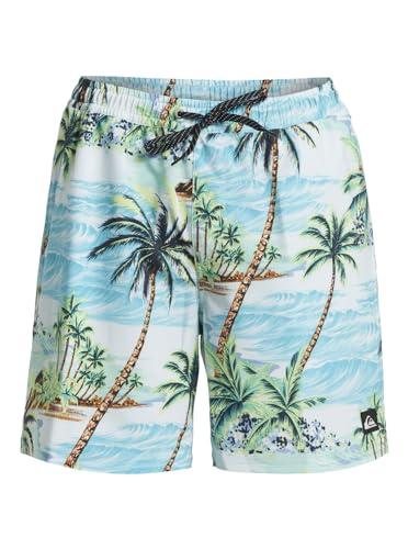 Quiksilver Męskie szorty Surfsilk Mix Volley 17nb (1 szt.)