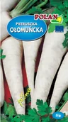 Nasiona i cebule - Pietruszka korzeniowa Ołomuńcka 5 g POLAN - miniaturka - grafika 1