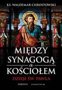 E-booki - religia - Między Synagogą i Kościołem. Dzieje św. Pawła - miniaturka - grafika 1