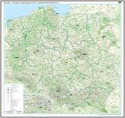 Mapy i plansze edukacyjne - EkoGraf, Polska - podział organizacyjny Lasów Państwowych mapa ścienna na podkładzie do wpinania - pinboard, 1:500 000 - miniaturka - grafika 1