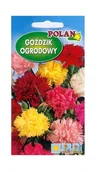 Nasiona i cebule - Goździk ogrodowy Grenadin mieszany 1 g POLAN - miniaturka - grafika 1