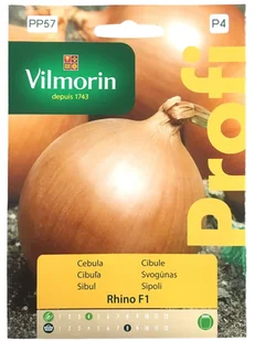 Cebula Rhino F1 Nasiona 1,5G Vilmorin Profi - Nasiona i cebule - miniaturka - grafika 1