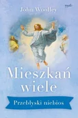 Religia i religioznawstwo - ks. John Woolley Mieszkań wiele Przebłyski niebios - miniaturka - grafika 1
