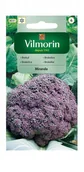 Nasiona i cebule - Brokuł Miranda 1 g Vilmorin - miniaturka - grafika 1