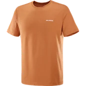 Koszulki sportowe męskie - KOSZULKA MĘSKA SALOMON LOGO TEE M C25265 - miniaturka - grafika 1