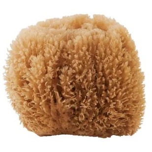 Meraki Sponge Bahamas - Pozostałe akcesoria do kąpieli i SPA - miniaturka - grafika 1