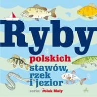 Książki edukacyjne - Lettra-Graphic Władysław Fisher Ryby polskich stawów, rzek i jezior - miniaturka - grafika 1
