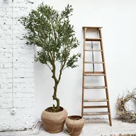 Sztuczne kwiaty - Dekoracyjna roślina doniczkowa Dambly - miniaturka - grafika 1