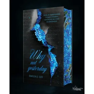 Why Not Yesterday - Literatura obyczajowa - miniaturka - grafika 1